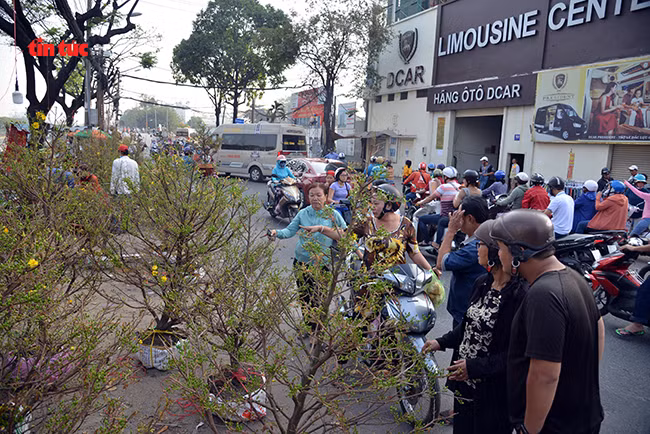 Nhộn nhịp chợ hoa Tết ‘trên bến dưới thuyền’ đầy sắc màu ở TP Hồ Chí Minh ảnh 11 Chú thích ảnh