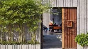 Theo phong thủy, tre, trúc sẽ mang lại may mắn và an lành cho gia đình.