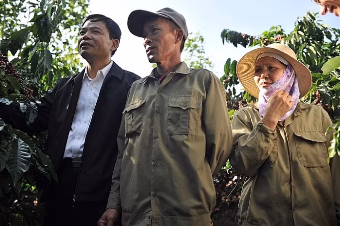 Bà Đỗ Thị Hiền, nông dân sản xuất giỏi trong chương trình Nescafe Plan đang cùng chồng giới thiệu vườn cà phê năng suất cao cho Bộ trưởng Bộ NN&PTNT Nguyễn Xuân Cường. Bà Đỗ Thị Hiền, nông dân sản xuất giỏi trong chương trình Nescafe Plan đang cùng chồng giới thiệu vườn cà phê năng suất cao cho Bộ trưởng Bộ NN&PTNT Nguyễn Xuân Cường.