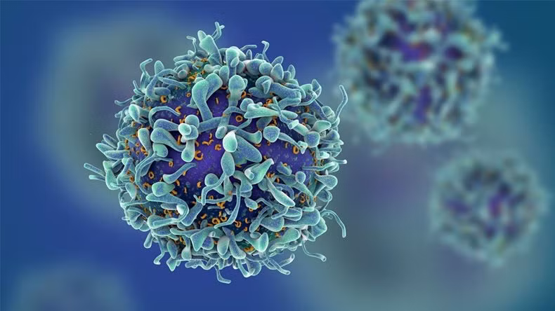 Sắp có vắc-xin phòng trị HIV/AIDS ảnh 2