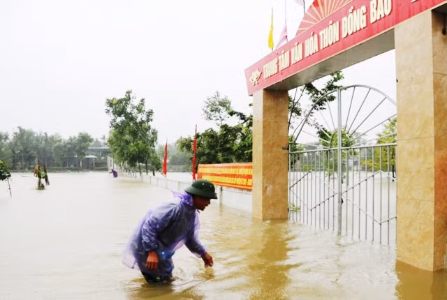 Nước lụt dâng nên người dân thôn Đồng Bàu xã Cẩm Thành thả lưới bắt cá ngay trên đường.