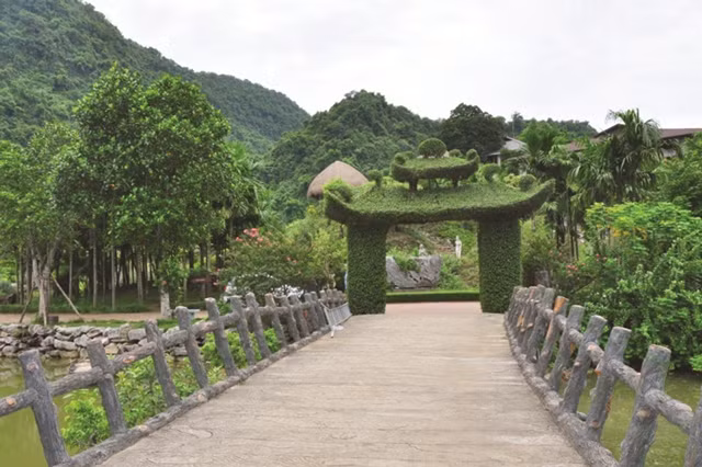 Cây cổ thụ, đặc trưng của Thung Nham