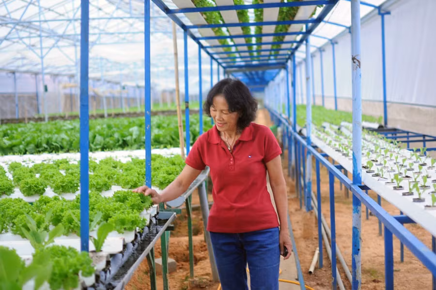 Vingroup ký thỏa thuận hợp tác với 500 hộ sản xuất