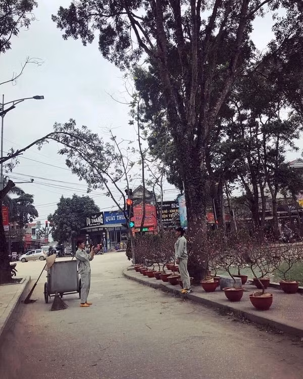  Hoàn thành công việc dọn dẹp đường xá trước Tết Kỷ&nbsp;Hợi, 2 chị lao công tranh thủ vui vẻ chụp cho nhau những bức hình kỷ niệm bên cạnh những gốc đào người ta bày bán.