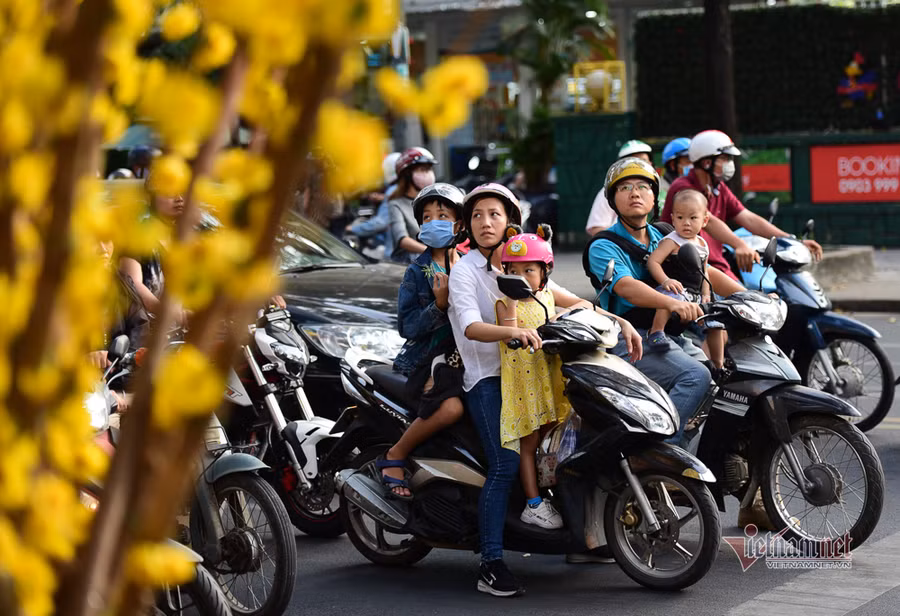 Con đường hoa mai rực rỡ sắc xuân ở Sài Gòn