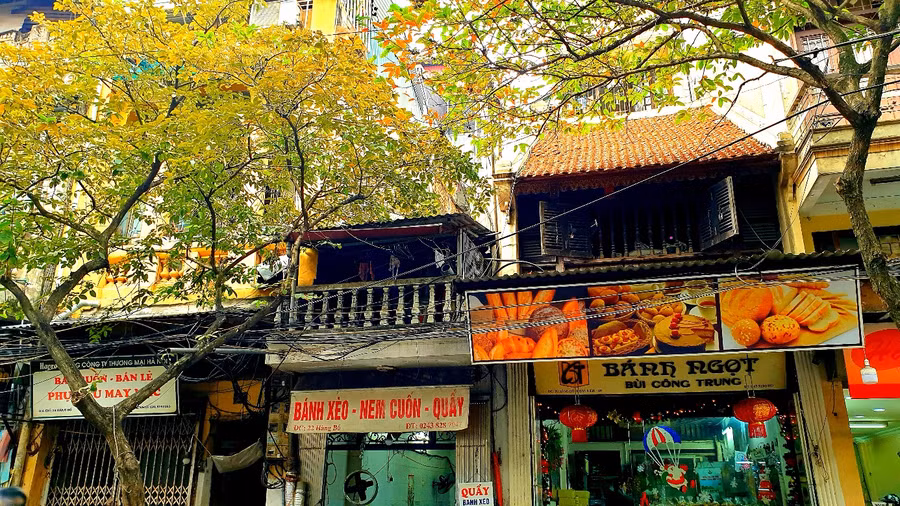Hà Nội rực rỡ mùa lá vàng, lá đỏ ảnh 5