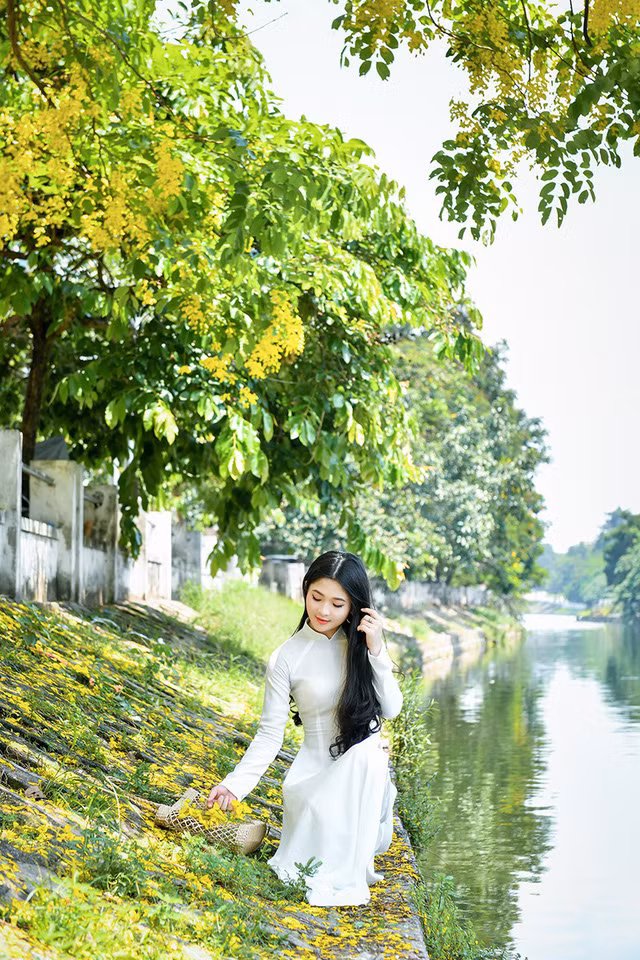 “Hot girl tráng bánh mướt” xứ Nghệ đẹp dịu dàng dưới tán hoàng yến ảnh 7