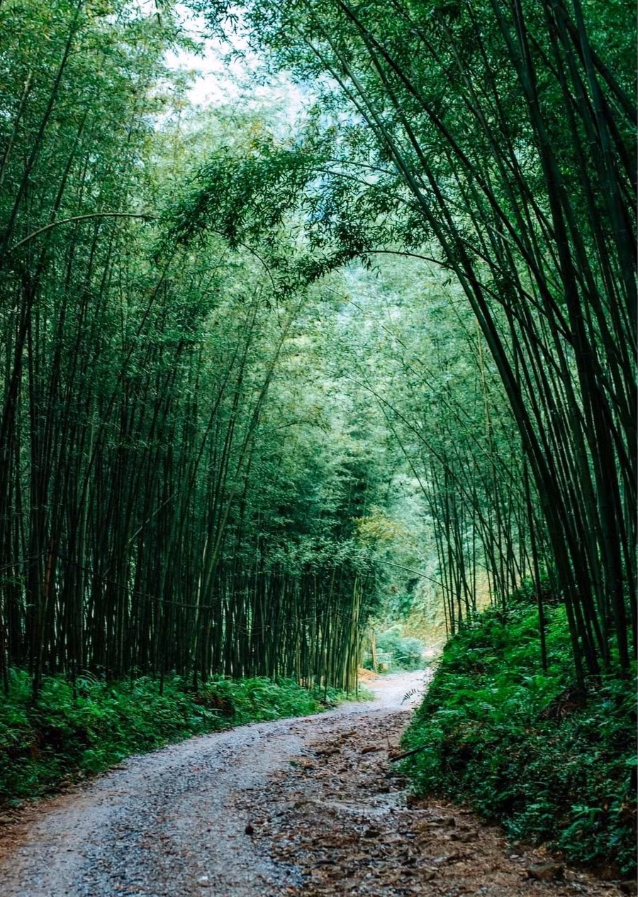 Con đường dẫn tới thôn Phiêng Phàng, xã Yến Dương, huyện Ba Bể, Bắc Kạn.
