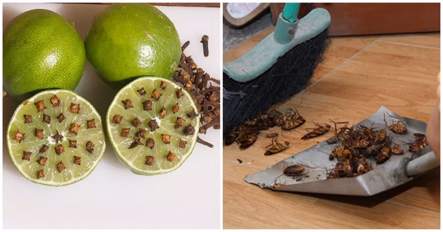 dung chanh duoi gian0-phunutoday
