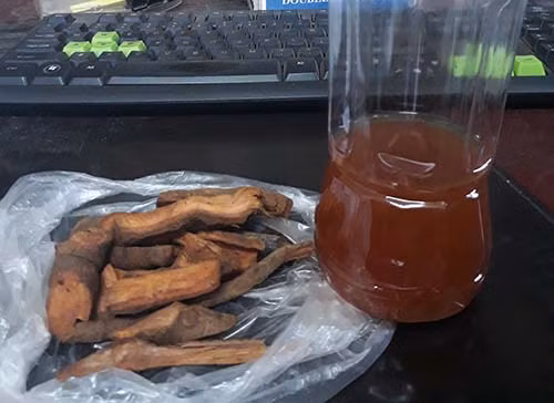 Chai rượu và số rễ cây gây ngộ độc mà cơ quan chức năng thu giữ. Chai rượu và số rễ cây mà cơ quan chức năng thu giữ. Ảnh: Nguyễn Hải.