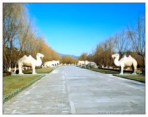 Thập Tam Lăng nằm ở chân núi Thiên Thọ thuộc huyện Xương Bình, cách Bắc Kinh 50 km về phía Tây Bắc. Lăng mộ đầu tiên trong quần thể này được hoàng đế thứ ba của nhà Minh là Vĩnh Lạc Đế xây dựng vào năm 1409. Trong ảnh là lối đi dẫn đến các lăng dài 7 km được gọi là Thần Đạo.
