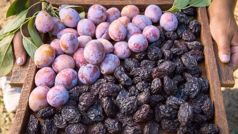 {title} ung thư,ung thư vú,quả mận,quả đào