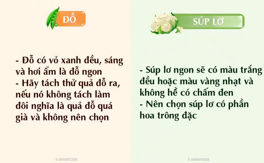 Mẹo chọn rau, củ, quả tươi ngon, không bị ngâm hóa chất ảnh 9 18 meo chon rau, cu, qua tuoi ngon, khong bi ngam hoa chat - 9