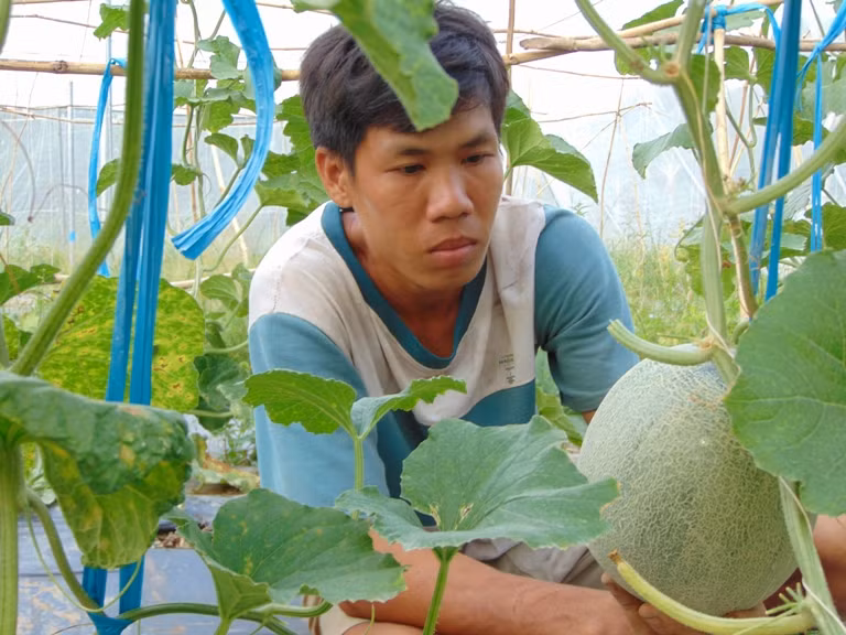 Độc đáo dưa lưới khắc chữ của “9X”