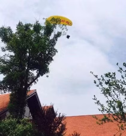 Nhảy dù cầu hôn, chàng trai bị mắc kẹt trên ngọn cây - ảnh 3