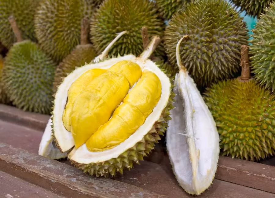 Sầu riêng là một loại thực phẩm rất bổ dưỡng. (Ảnh: ITN). Sầu riêng là một loại thực phẩm rất bổ dưỡng. (Ảnh: ITN).