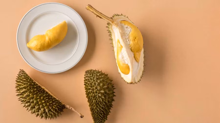 Sầu riêng rụng tự nhiên sẽ chín hơn và thời hạn sử dụng ngắn hơn nhiều. (Ảnh: ITN) Sầu riêng rụng tự nhiên sẽ chín hơn và thời hạn sử dụng ngắn hơn nhiều. (Ảnh: ITN)