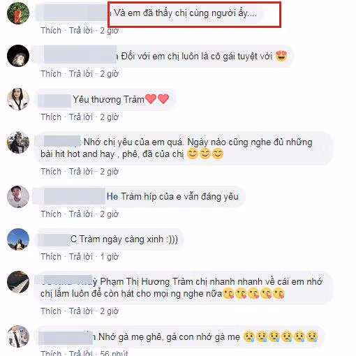 ca sĩ Hương Tràm, Hương Tràm, sao Việt