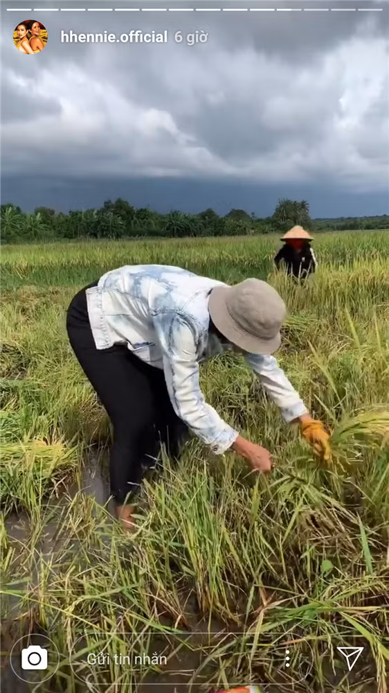 Những sở thích "độc lạ, khó đỡ" của 3 nàng hậu H"Hen Niê, Mai Phương Thúy ,Tiểu Vy ảnh 12