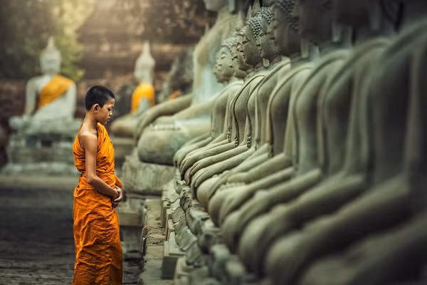 Ảnh minh họa,