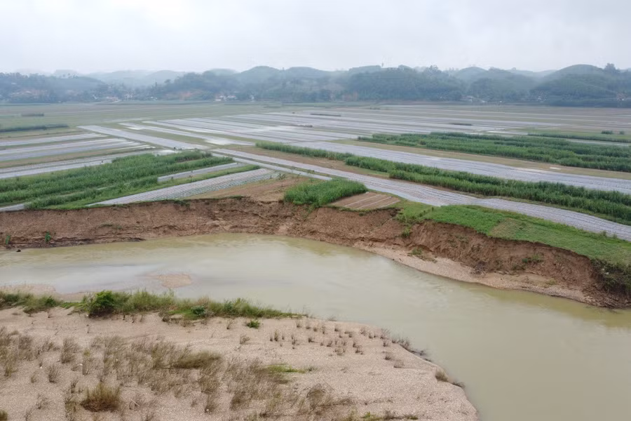 Bờ sông Lam chảy qua xã Đỉnh Sơn bị sạt lở nghiêm trọng. (Ảnh: Phạm Tâm)