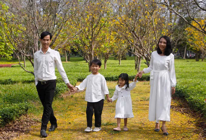 Vườn hoàng mai cổ thụ bung nở