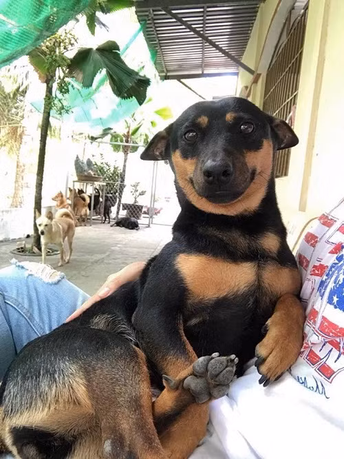 Gương mặt khả ái. Gương mặt khả ái.