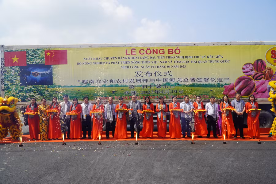 Các đại biểu thực hiện nghi thức cắt băng xuất phát chuyến hàng khoai lang chính ngạch đầu tiên sang Trung Quốc.