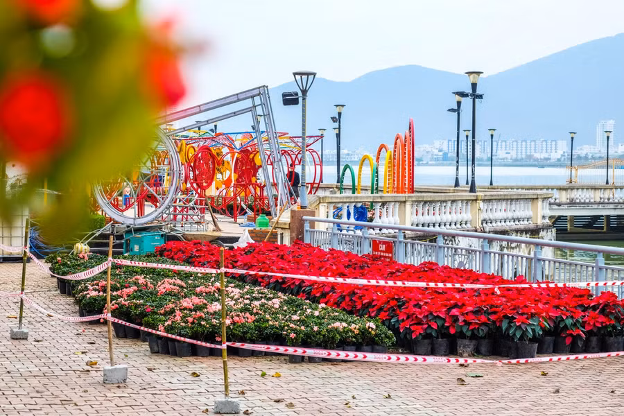 Hàng trăm giỏ hoa được chở tới để chuẩn bị trang trí, phục vụ Tết Nguyên đán.