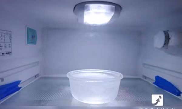 Empty