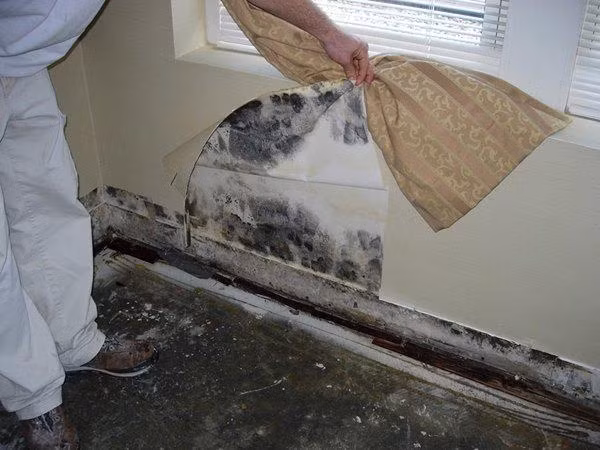 Mẹo cực hay giúp nhà cửa luôn khô ráo trong những ngày trời nồm ẩm 