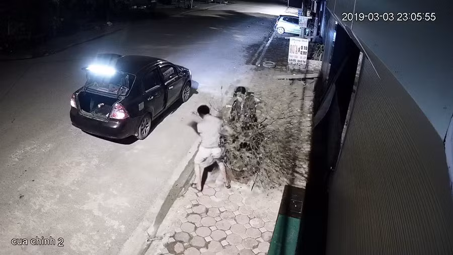 Cặp vợ chồng đi ô tô trộm đào lúc nửa đêm: 1 ngày sau, người vợ mang cây đến trồng lại vị trí cũ-1