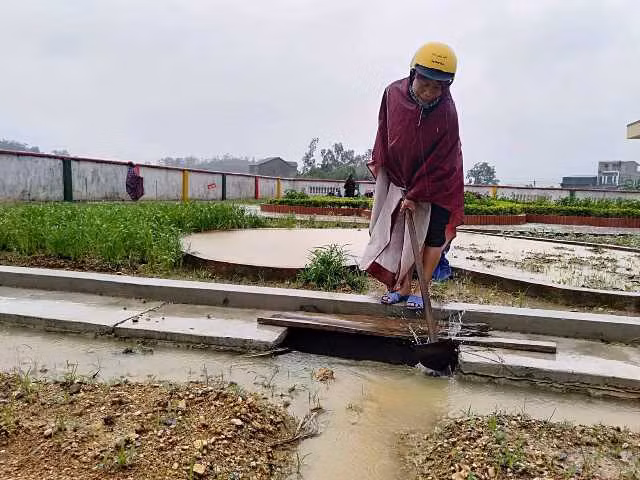Huy động tất cả giáo viên có mặt tại trường. Huy động tất cả giáo viên có mặt tại trường.