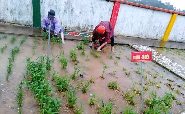 Vườn rau sạch do chính các cô trong trường tự trồng, chăm sóc. Vườn rau sạch do chính các cô trong trường tự trồng, chăm sóc.