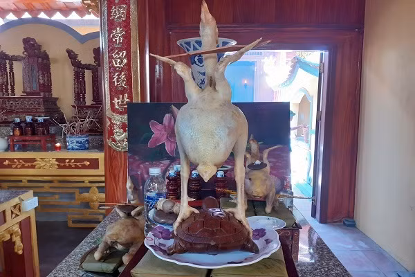 Độc đáo 