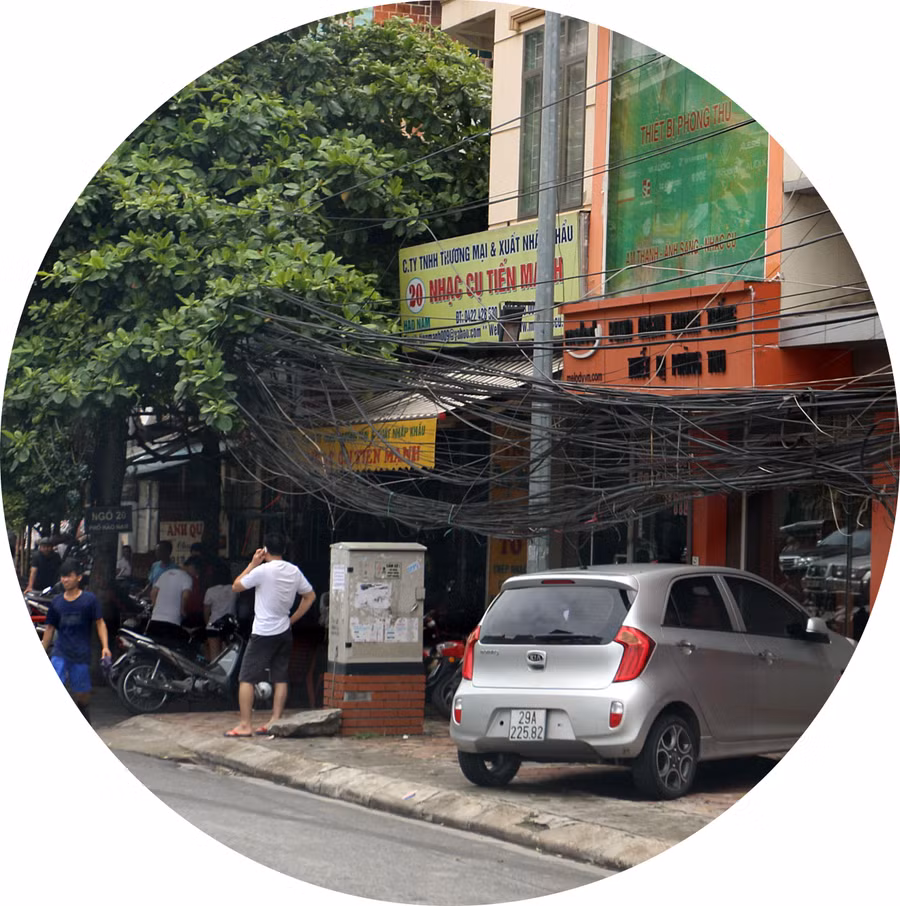 Lấy cây xanh làm… cột điện