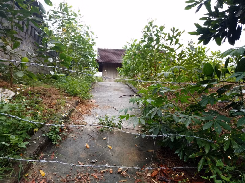 Chủ nhân ngôi nhà này không sinh sống ở đây nên dùng thép gai làm rào ngăn trâu, bò.