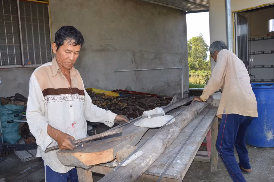 Các lão nông miệt mài