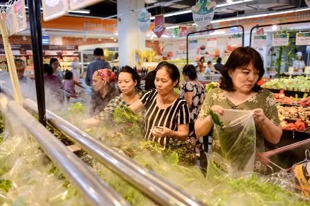 Rau củ quả VinEco được mọi khách hàng tín nhiệm lựa chọn cho bữa ăn gia đình Rau củ quả VinEco được mọi khách hàng tín nhiệm lựa chọn cho bữa ăn gia đình