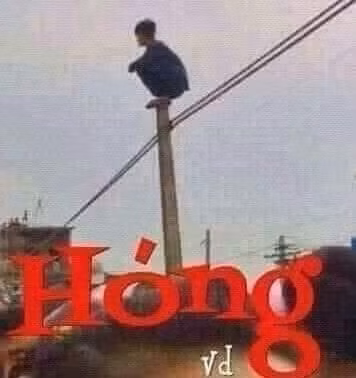 8/3 phải ở nhà.
