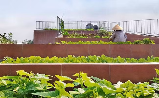 3 ngôi nhà Việt đẹp, sáng tạo, không chê được chỗ nào bất ngờ nổi tiếng trên báo tây