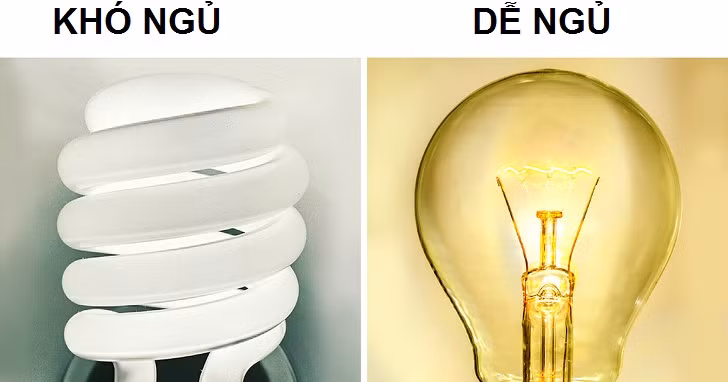 ngu_ngon_4