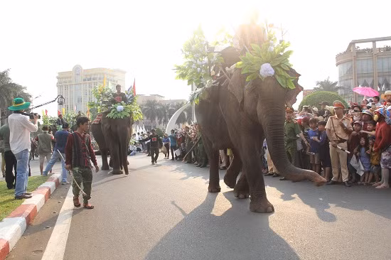 Voi là biểu tượng đặc sắc của Tây Nguyên, tượng trưng cho sức mạnh, lòng can đảm, sự thông minh, chính trực và ý chí kiên cường.