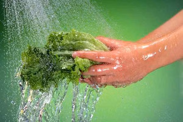 8 mẹo khử độc rau củ quả ngậm hóa chất cực đơn giản mà hiệu quả ảnh 1 8 mẹo khử độc rau củ quả ngậm hóa chất cực đơn giản mà hiệu quả ảnh 1