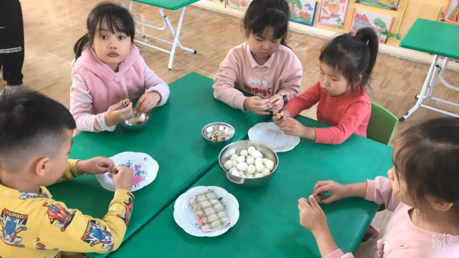 Trẻ được cô hướng dẫn các kỹ năng trên lớp như bóc vỏ trứng chim cút để rèn luyện tính kiên nhẫn, tỉ mỉ.