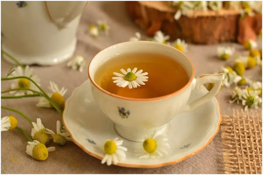 Trà hoa cúc có thể giúp bạn thư giãn. (Ảnh: ITN). Trà hoa cúc có thể giúp bạn thư giãn. (Ảnh: ITN).