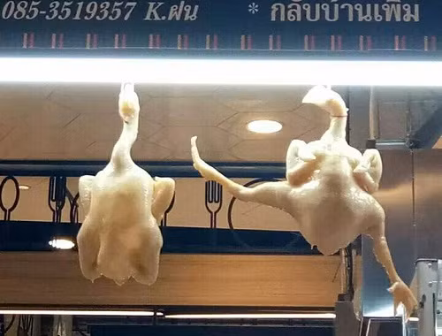 Sống thì tức nhau tiếng gáy, bị làm lông rồi thì ghét nhau làn da.
