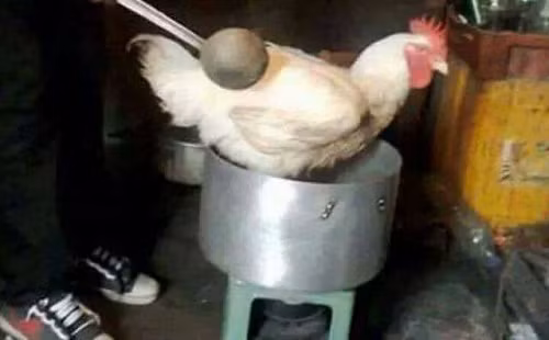 Canh gà 