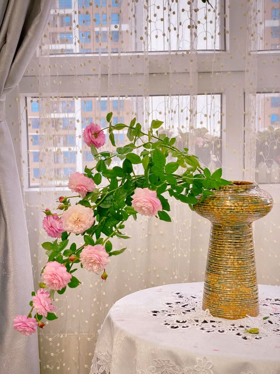 Tiếp theo cắm tịnh tiến lên phía trên toả dần ra hai bên.
