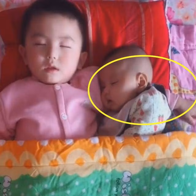 cho con so sinh ngu cung be lon, khi gio chan ra nguoi me goi chong den ngay lap tuc - 3